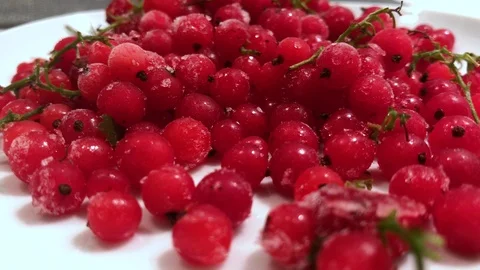 Frozen red currants close up. 20 Video stock 98469819