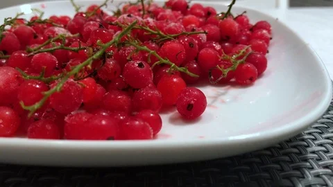 Frozen red currants close up. 4 Stock Footage 98469879