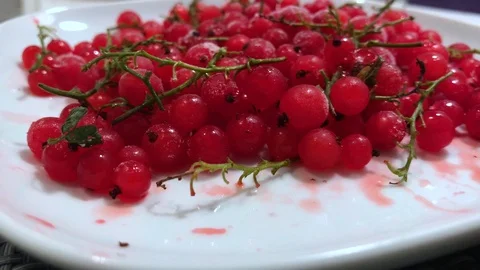 Frozen red currants close up. 6 Stock Footage 98469873