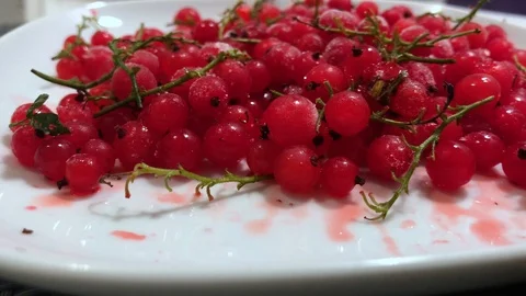 Frozen red currants close up. 8 Stock Footage 98469868
