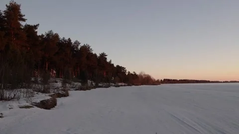 Frozen river and pine forest on the bank Stock Footage 299710697