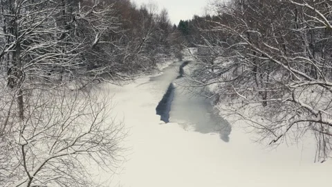 Frozen River and Snow-Covered Forest Under Cloudy Winter Sky Stock Footage 317608705