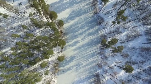 Frozen river bed in winter forest the camera is looking down. Aerial view. Stock Footage 72511204