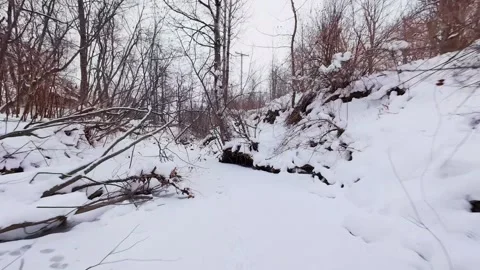 Frozen river in calm winter environment Stock Footage 323339041