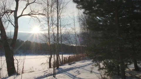 Frozen river covered with fresh snow and bare tree on bank Stock-Footage 154348067