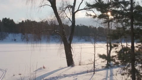 Frozen river covered with fresh snow and bare tree on bank Video stock 155438579