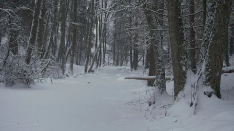 Frozen river covered in snow Stock Footage 102906971