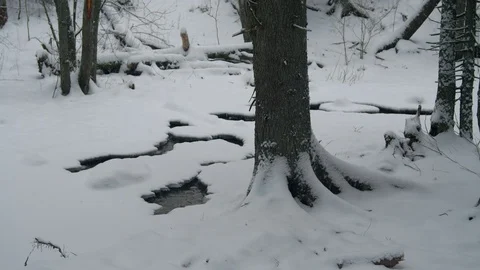 Frozen river covered in snow 스톡 동영상 102906989