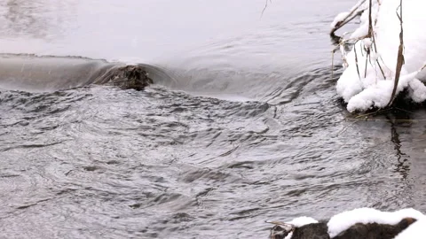 Frozen River Details Stock Footage 170590959
