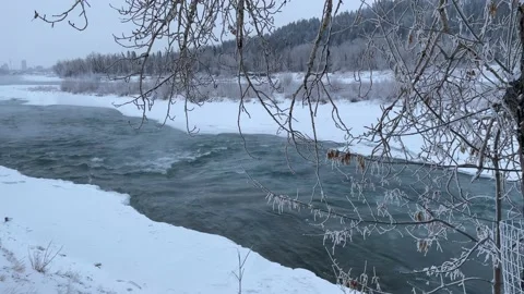Frozen river flowing with forest in background 库存影片 236014728