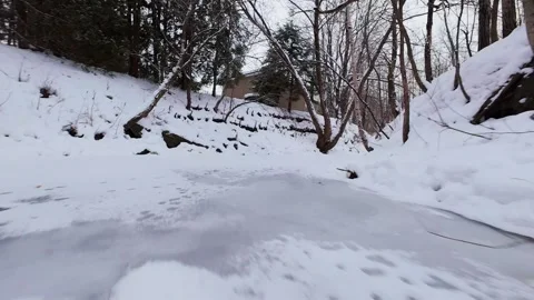 Frozen river flowing through silent winter woods Stock Footage 323339444
