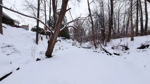 Frozen river flowing through winter forest Stock Footage 323338667