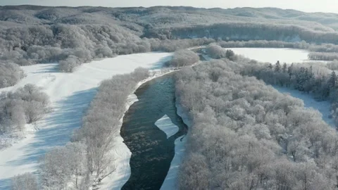 A frozen river flows between the trees covered with white snow. Stock Footage 169563021