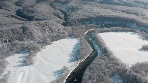 A frozen river flows between the trees covered with white snow. Stock-Footage 169564076