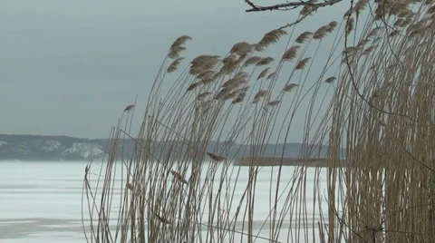 Frozen river Stock Footage 35126613