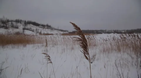 Frozen river Video stock 49193692