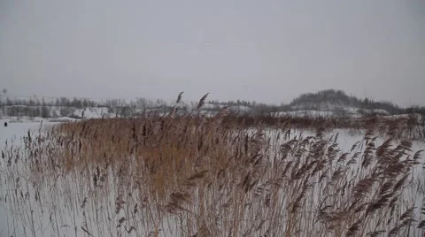 Frozen river Video stock 49193997