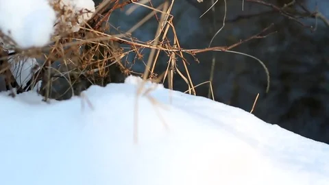 Frozen river Stock Footage 99119072