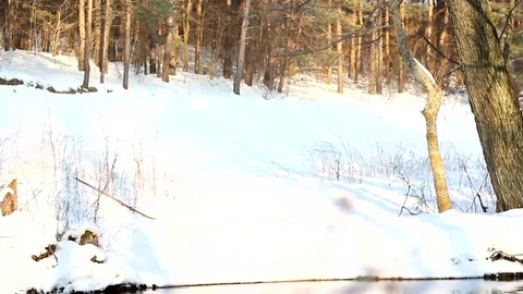 Frozen river Stock Footage 99119075