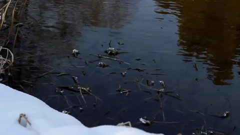 Frozen river Stock Footage 99119089