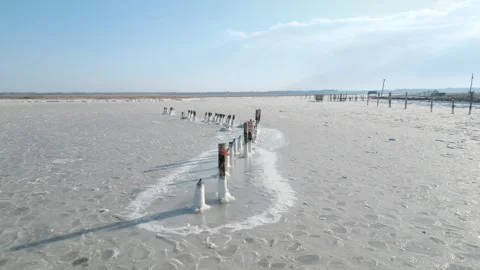 Frozen River Stock Footage 300649488