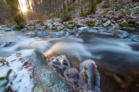 Frozen river in the forest Stock Photos