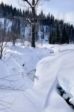 Frozen river in the forest Foto stock