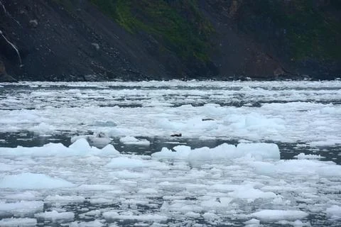 Frozen river with ice formations under dark sky Stock Photos