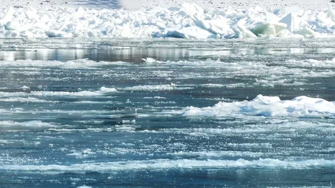 Frozen River with Icebergs in Winter Stock Footage 71792365