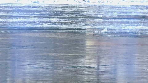 Frozen River with Icebergs in Winter Stock-Footage 71792972
