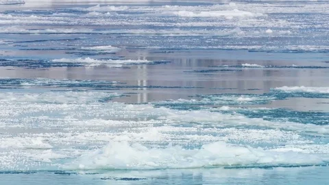 Frozen River with Icebergs in Winter Stock-Footage 71793007