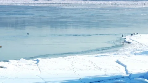 Frozen River with Icebergs in Winter Stock-Footage 71793111