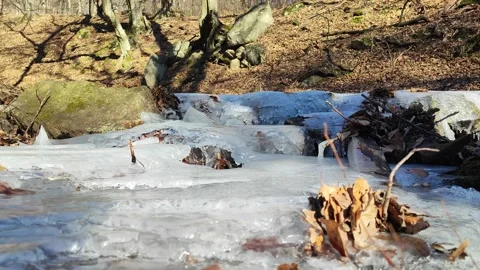 Frozen River Lake Forest Ice Stock Footage 233162447