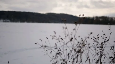 Frozen river lake in winter cold weather Video stock 236690549
