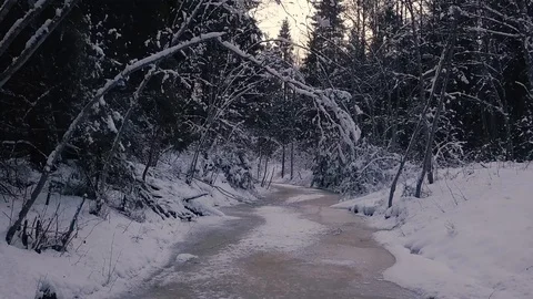 A Frozen River in the Middle of the Forest Stock Footage 127510031