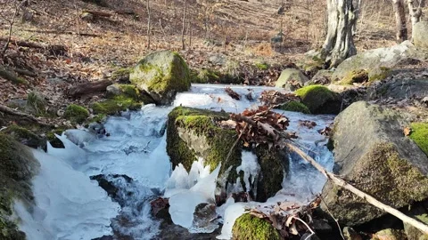 Frozen River Mountain Tree's ICE Stock Footage 233162448