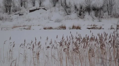 Frozen river pan 動画素材 49193541