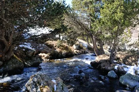 Frozen river Stock Photos