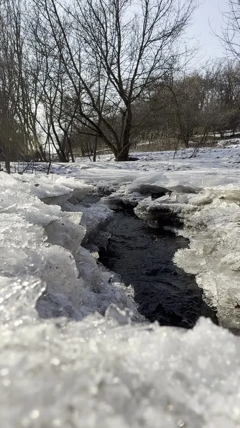 Frozen River in a Snowy Forest Stock Footage 302790187