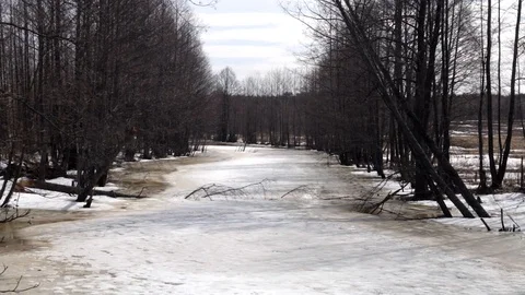 The frozen River with trees around, the forest and the field are near, spring Stock Footage 88345716
