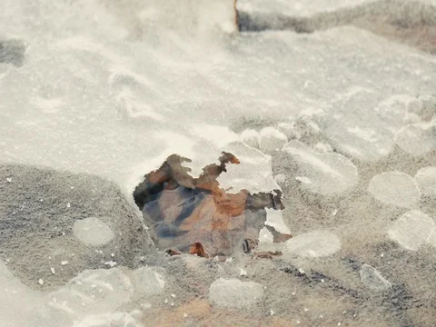 Frozen River with Water Movements Видео 74343476