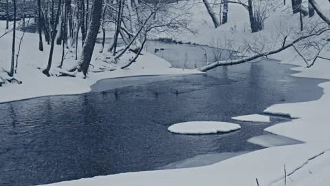 Frozen River Winding Through Forest Видео 300050138