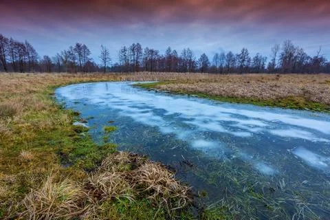 Frozen river in winter forest Stock Photos