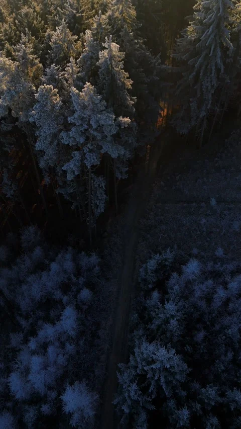 Frozen road in the winter forest during the sunrise. 4K aerial drone video. Stock Footage 297628584
