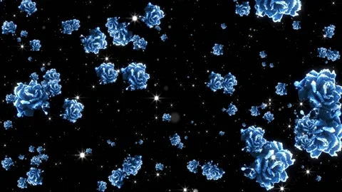 Frozen Rose on Black Background. Winter Background. Loop Animation. Stock Footage 164470248