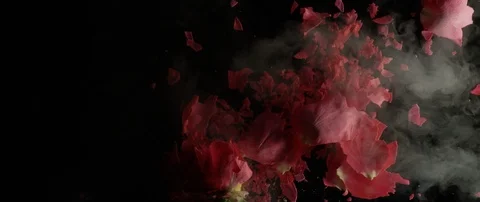 Frozen rose breaks on a dark surface and breaks into small pieces Stock Footage 106004790