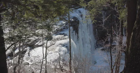 Frozen Salmon River Falls through Trees Slow Stock Footage 273193069