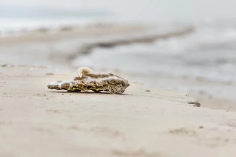 Frozen sand on beach Foto stock