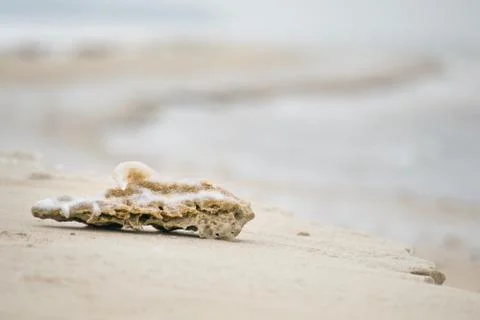 Frozen sand on beach Stock Photos
