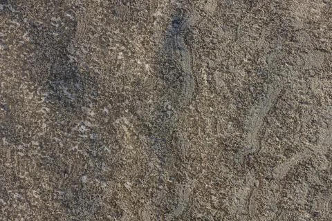 Frozen sand. Stock Photos